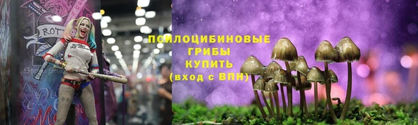гидропоника Бородино