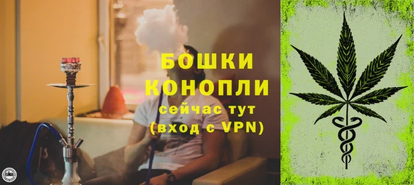 гидропоника Бородино