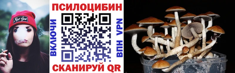 где продают наркотики  Ялуторовск  Псилоцибиновые грибы Cubensis 